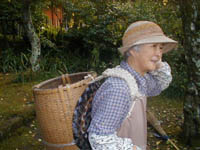 Japan Elder Divorce