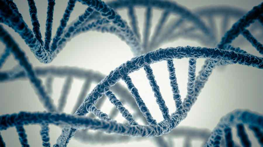 Genome.jpg